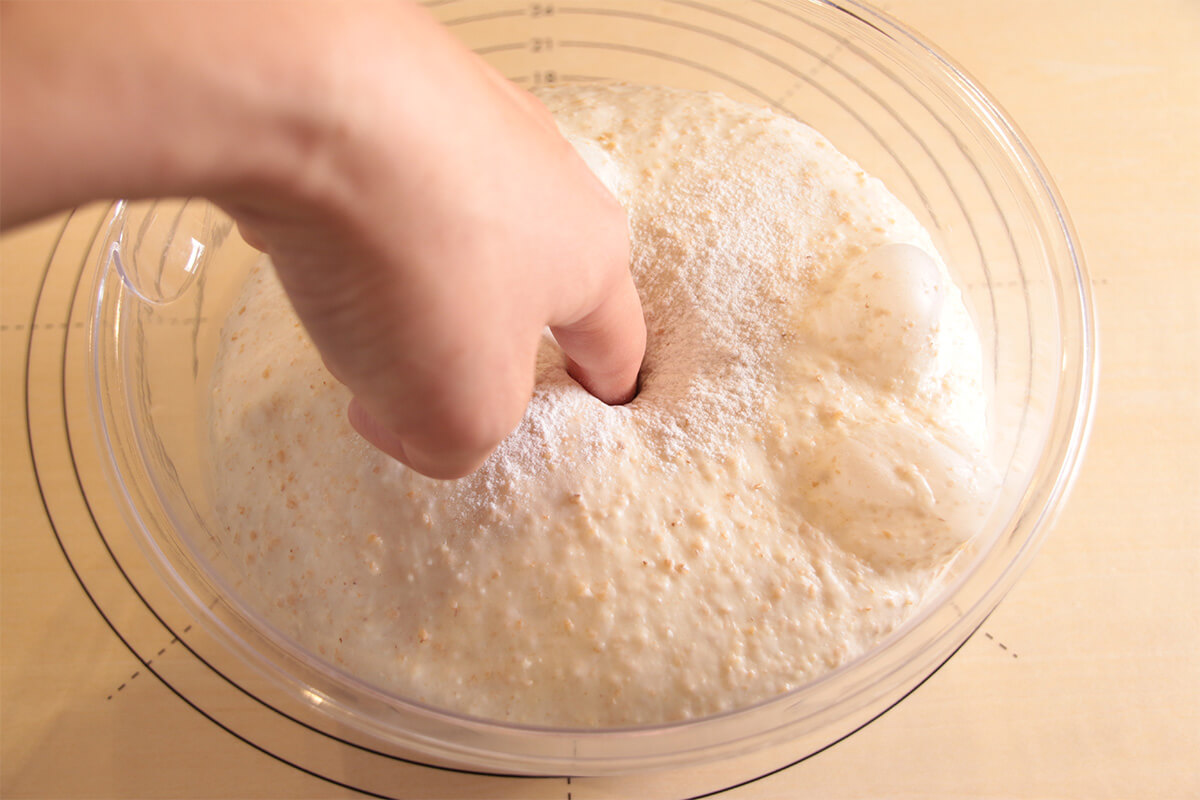 発酵とは?パンの発酵って何がおこっているの? 富澤商店 Column